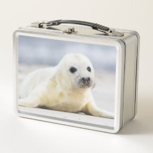 Getty Images   Baby Seal Metal Lunch Box