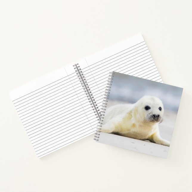 Getty Images | Baby Seal Notebook (Inside)