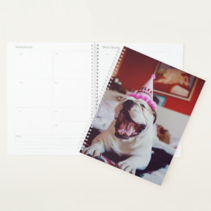 Getty Images   British Bulldog Planner