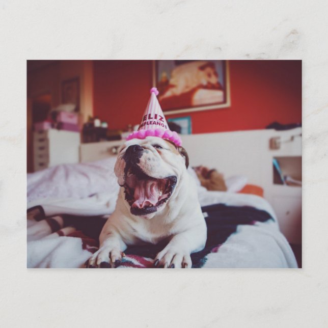 Getty Images | British Bulldog Postcard (Front)