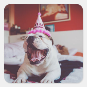 Getty Images   British Bulldog Square Sticker