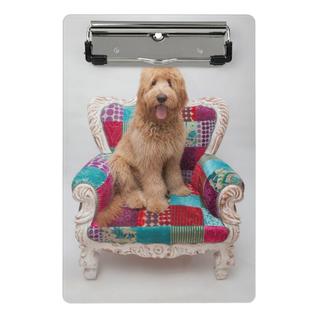 Getty Images | Cute Goldendoodle Mini Clipboard (Front)