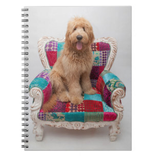 Getty Images Cute Goldendoodle Notebook