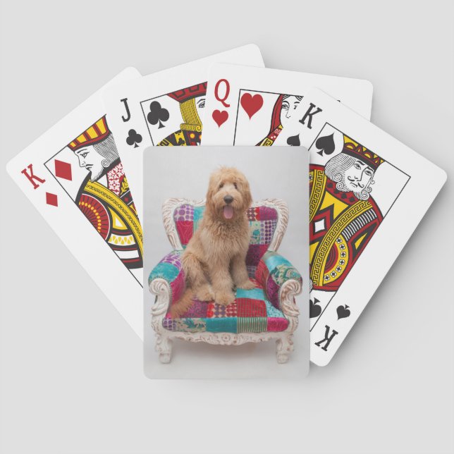 Getty Images | Cute Goldendoodle Playing Cards (Back)