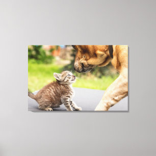 Getty Images Dog & Cat In Love Canvas Print
