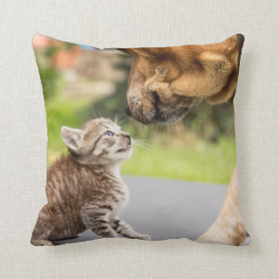 Getty Images Dog & Cat In Love Cushion