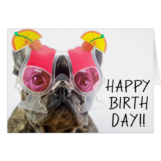 Getty Images | Dog With Cocktail Glasses (Front Horizontal)