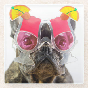 Getty Images Dog With Cocktail Glasses Glass Coaster