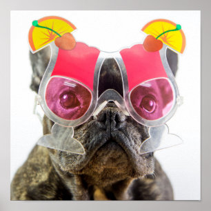 Getty Images   Dog With Cocktail Glasses Poster