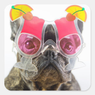 Getty Images Dog With Cocktail Glasses Square Sticker