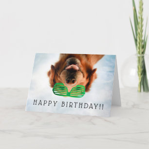 Getty Images   Dog With Glasses Card