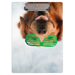 Getty Images   Dog With Glasses Clipboard