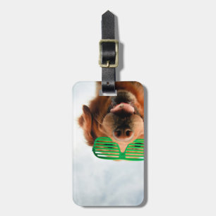 Getty Images Dog With Glasses Luggage Tag