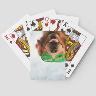 Getty Images   Dog With Glasses Playing Cards