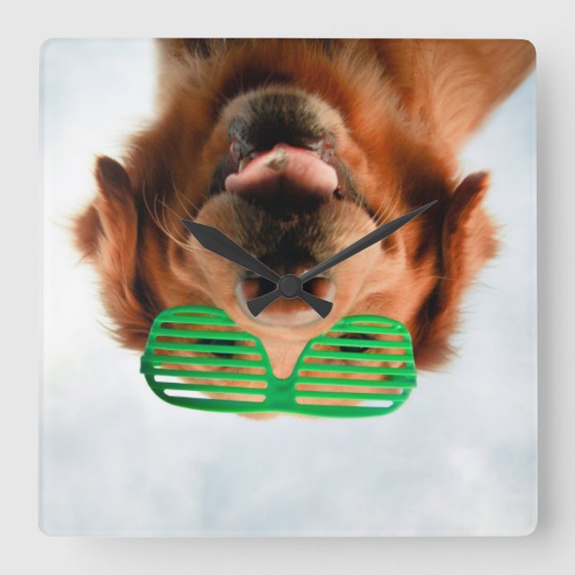 Getty Images | Dog With Glasses Square Wall Clock (Front)