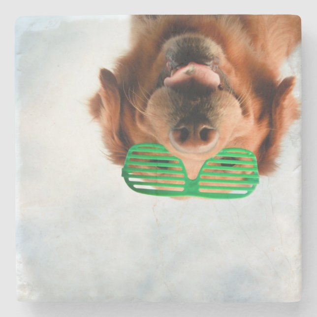 Getty Images | Dog With Glasses Stone Coaster (Front)