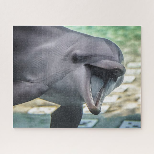 Getty Images | Dolphin Jigsaw Puzzle (Horizontal)