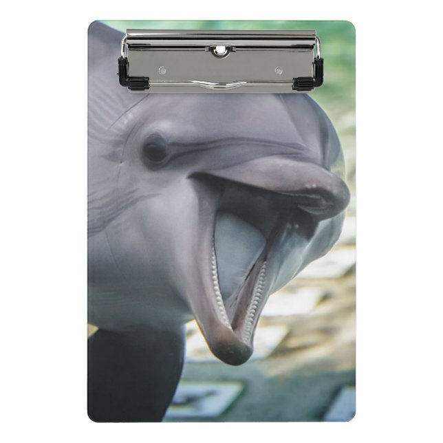 Getty Images | Dolphin Mini Clipboard (Front)