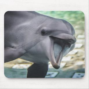 Getty Images Dolphin Mouse Pad