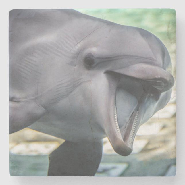 Getty Images | Dolphin Stone Coaster (Front)