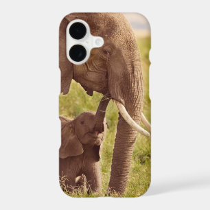 Getty Images Elephant & Baby