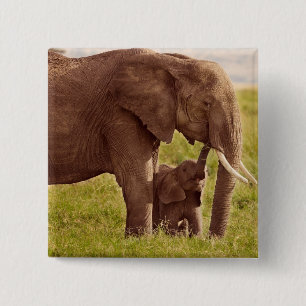 Getty Images   Elephant & Baby 15 Cm Square Badge