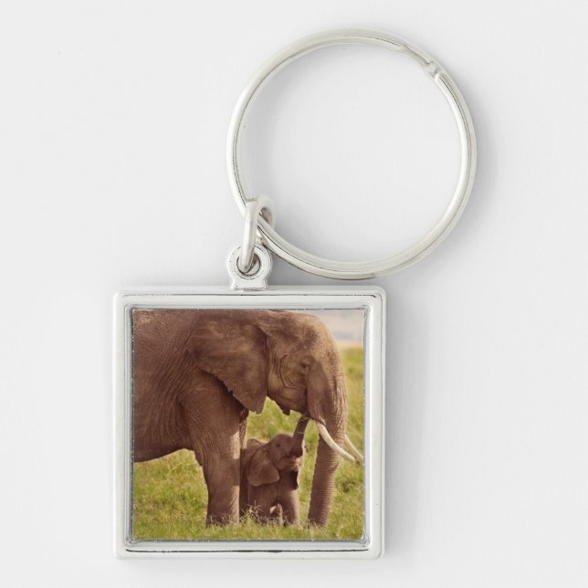 Getty Images | Elephant & Baby Key Ring (Front)