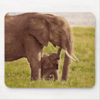 Getty Images | Elephant & Baby