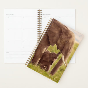 Getty Images Elephant & Baby Planner