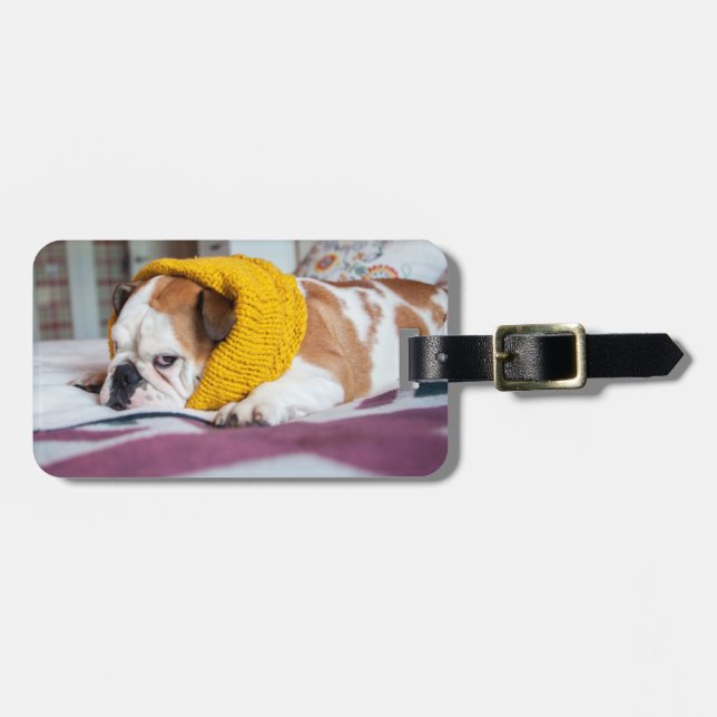 Getty Images | English Bulldog Luggage Tag (Front Horizontal)