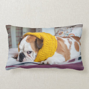 Getty Images   English Bulldog Lumbar Cushion