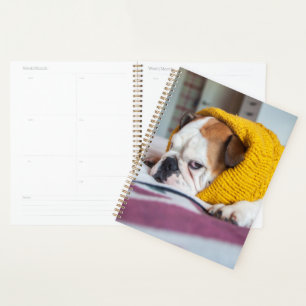 Getty Images   English Bulldog Planner