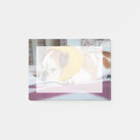 Getty Images | English Bulldog