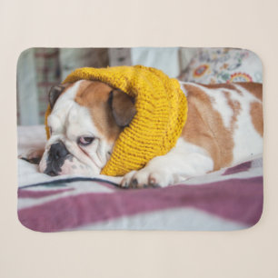 Getty Images English Bulldog Sherpa Blanket