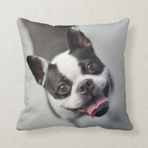 Getty Images   French Bulldog Cushion
