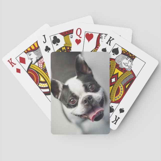 Getty Images | French Bulldog Playing Cards (Back)