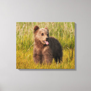 Getty Images Funny Baby Bear Canvas Print