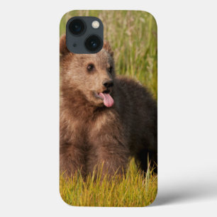 Getty Images   Funny Baby Bear iPhone 13 Case