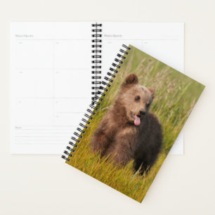 Getty Images Funny Baby Bear Planner