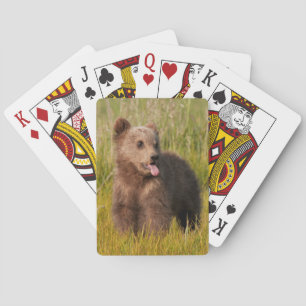 Getty Images   Funny Baby Bear Playing Cards