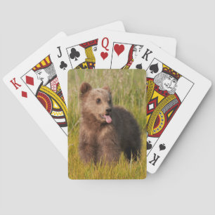 Getty Images   Funny Baby Bear Playing Cards