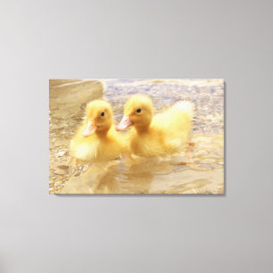 Getty Images Fuzzy Yellow Ducklings Canvas Print