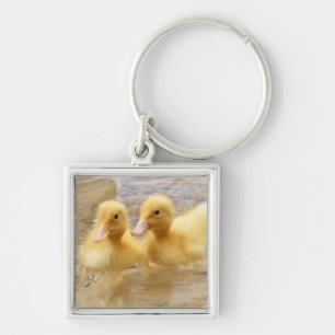 Getty Images Fuzzy Yellow Ducklings Key Ring