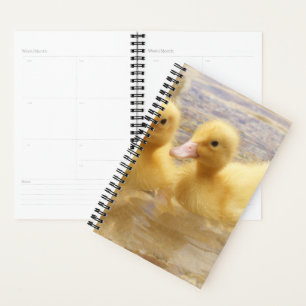 Getty Images Fuzzy Yellow Ducklings Planner