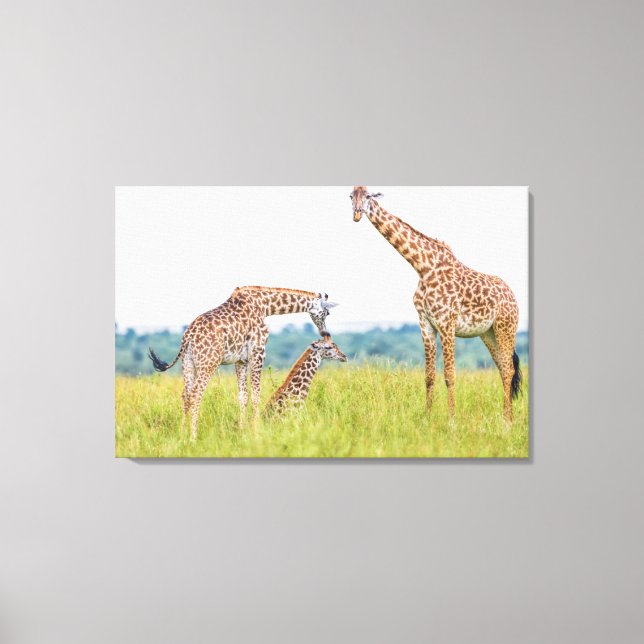 Getty Images | Giraffe Family Canvas Print (Front)