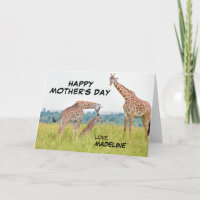 Getty Images | Giraffe Family