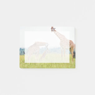 Getty Images   Giraffe Family Post-it Notes