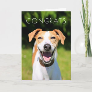 Getty Images Laughing Dog Card