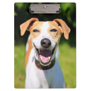 Getty Images   Laughing Dog Clipboard