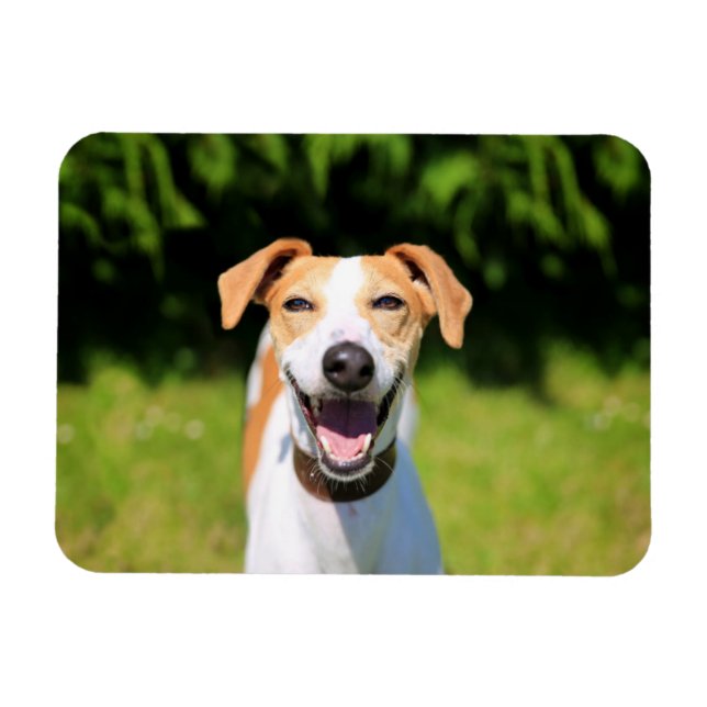Getty Images | Laughing Dog Magnet (Horizontal)